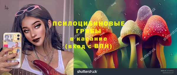 стафф Киреевск