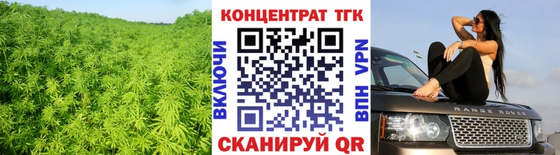 Купить  Оха  Дистиллят ТГК гашишное масло 