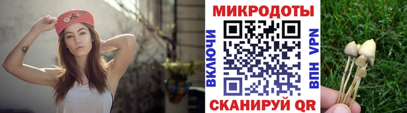 Псилоцибиновые грибы Cubensis  Купить  Оха 